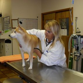 Bild von VCA Lockwood Ridge Animal Hospital