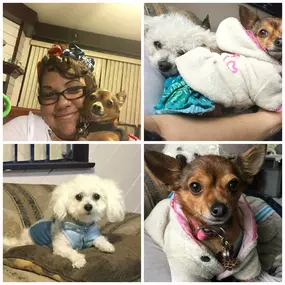 Satisfied Customers at VCA Simmons Animal Hospital