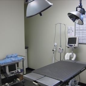 VCA Peachtree Animal Hospital Surgical Suite