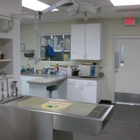 VCA Peachtree Animal Hospital Treatment Room