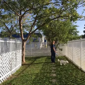 Fenced play area for boarding dogs