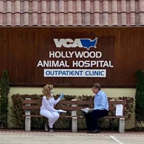 Bild von VCA Hollywood Animal Hospital