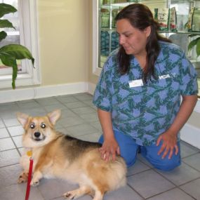 Bild von VCA Roswell Animal Hospital