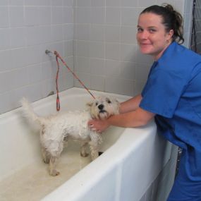 Bild von VCA Miracle Mile Animal Hospital