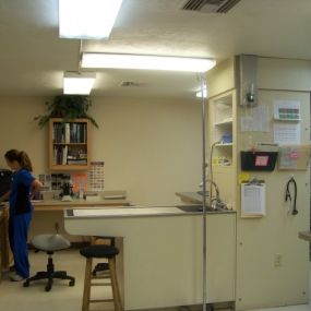 Bild von VCA Wakulla Animal Hospital