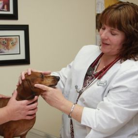 Bild von VCA Wakulla Animal Hospital