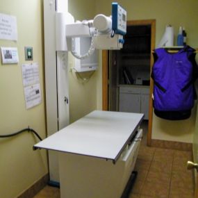 Our Digital Radiology at VCA Appalachian Animal Hospital