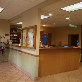 Our Lobby at VCA Appalachian Animal Hospital