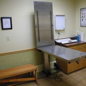 Our Exam Room at VCA Appalachian Animal Hospital