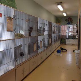 Our Spacious Cat Condos at VCA Catoosa Animal Hospital