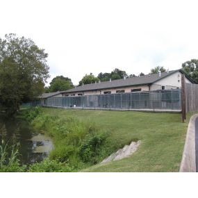 Our Spacious Boarding Runs at VCA Catoosa Animal Hospital