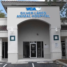 Welcome to VCA Silver Lakes Animal Hospital!