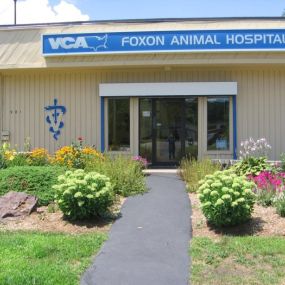 Bild von VCA Foxon Animal Hospital