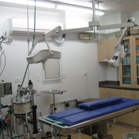 Bild von VCA Anderson Animal Hospital