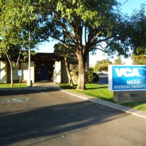 Bild von VCA Mesa Animal Hospital