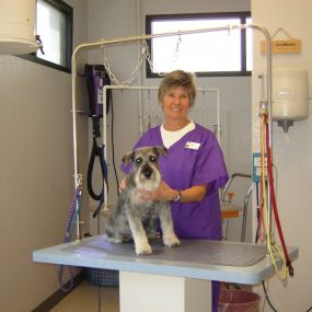 Bild von VCA Apache Junction Animal Hospital