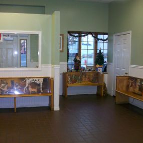 The Lobby at VCA Old Canal Animal Hospital