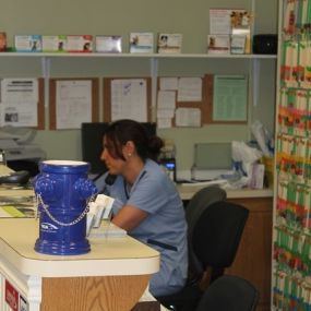 The Front Desk at VCA Old Canal Animal Hospital