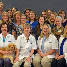 The caring & experienced team at VCA Front Range Animal Hospital
