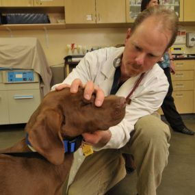 Bild von VCA Alameda East Veterinary Hospital