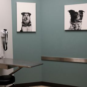 Bild von VCA Alameda East Veterinary Hospital