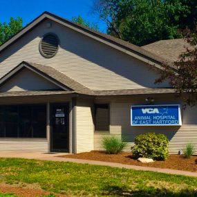 Welcome to VCA Animal Hospital of East Hartford!