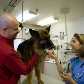 Bild von VCA Mountainview Animal Hospital & Pet Lodge