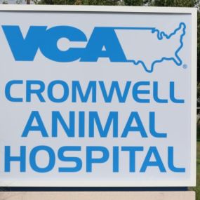 Bild von VCA Cromwell Animal Hospital