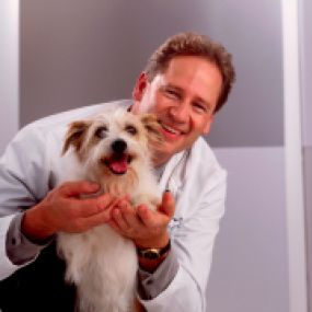 Bild von VCA Eagle River Animal Hospital