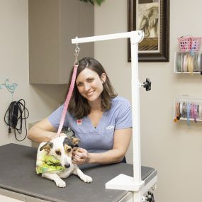 Bild von VCA Elliot Park Animal Hospital