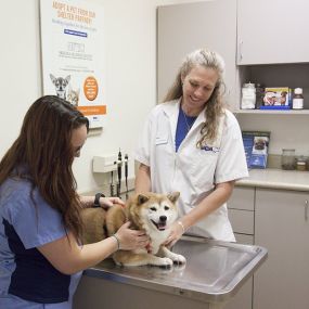 Bild von VCA Elliot Park Animal Hospital