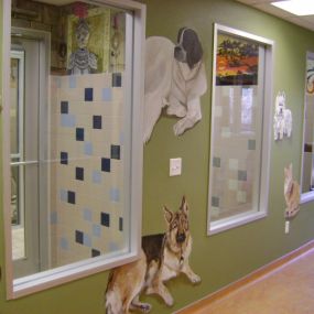 Bild von VCA Fort Collins Animal Hospital
