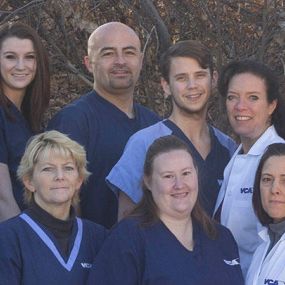 The caring & experienced team at VCA Douglas County Animal Hospital