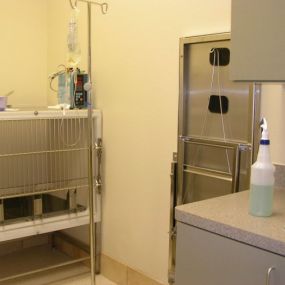 Bild von VCA Saginaw Animal Hospital