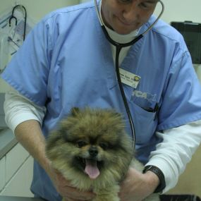 Bild von VCA Lakewood Animal Hospital