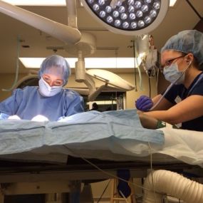 The Surgical Suite at VCA Oso Creek Animal Hospital and Emergency Center