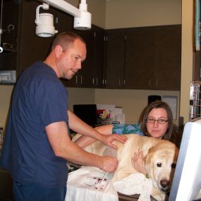 Caring Treatment at VCA Oso Creek Animal Hospital and Emergency Center