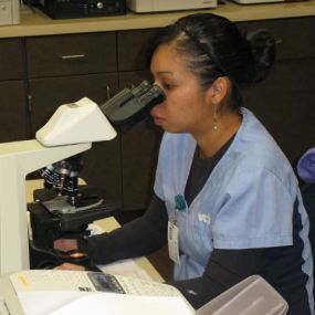 The Laboratory at VCA Oso Creek Animal Hospital and Emergency Center