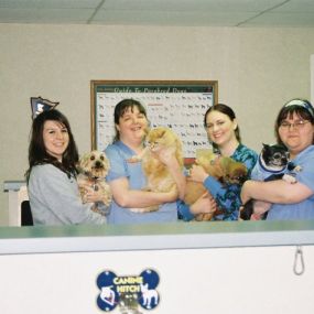 Bild von VCA Feist Animal Hospital