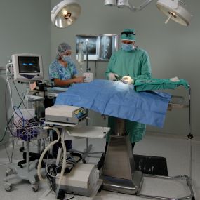 Surgical Suite