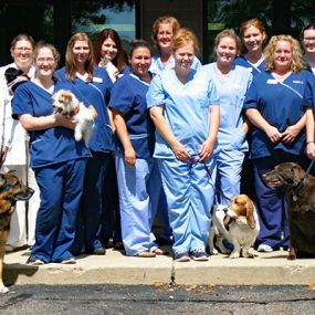 The caring & experienced team at VCA Chanhassen Animal Hospital