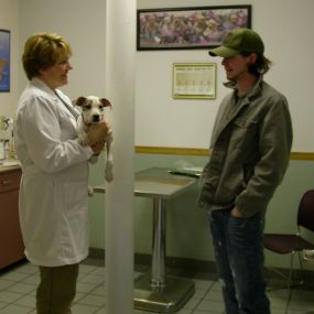 Bild von VCA All About Pets Animal Hospital