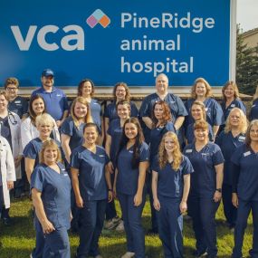 Bild von VCA PineRidge Animal Hospital