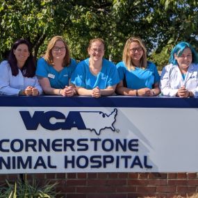 Bild von VCA Cornerstone Animal Hospital