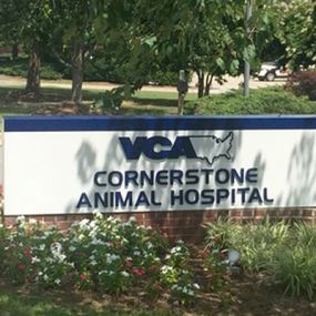 Bild von VCA Cornerstone Animal Hospital