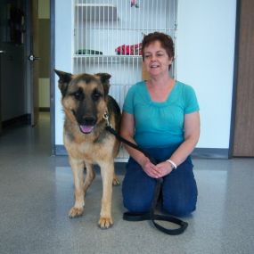 Bild von VCA Black Mountain Animal Hospital