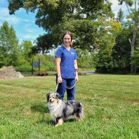 Bild von VCA Blairstown Animal Hospital