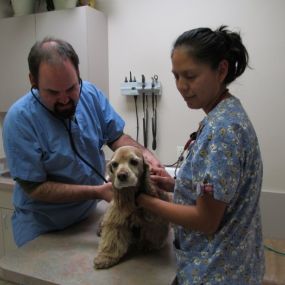 Bild von VCA Veterinary Care Animal Hospital and Referral Center