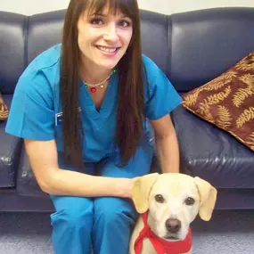 Bild von VCA Nellis Animal Hospital