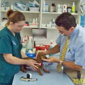 Bild von VCA Nellis Animal Hospital